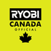 089290001050 Ryobi Lock Nut 1/4-20 - Pack of 2 |  DRMower.ca