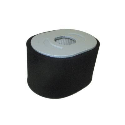 799818 Briggs & Stratton Air Filter Assembly | DRMower.ca